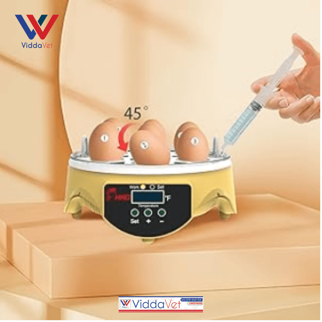 7-Egg Incubator 360° View Poultry Incubator