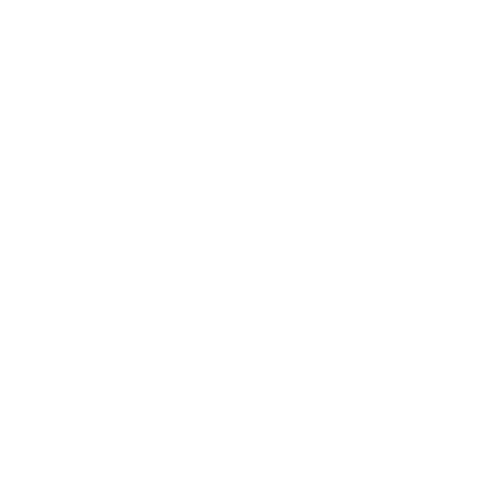 Viddavet Phil