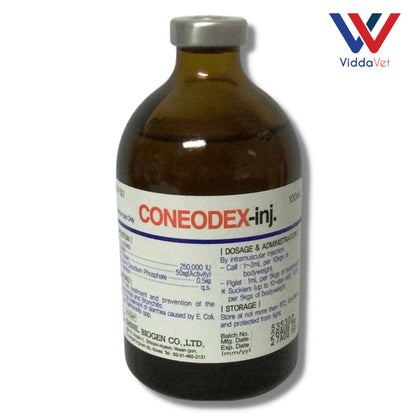 Coneodex (Korea)