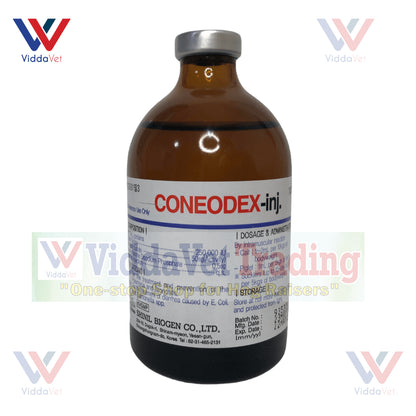 Coneodex (Korea)