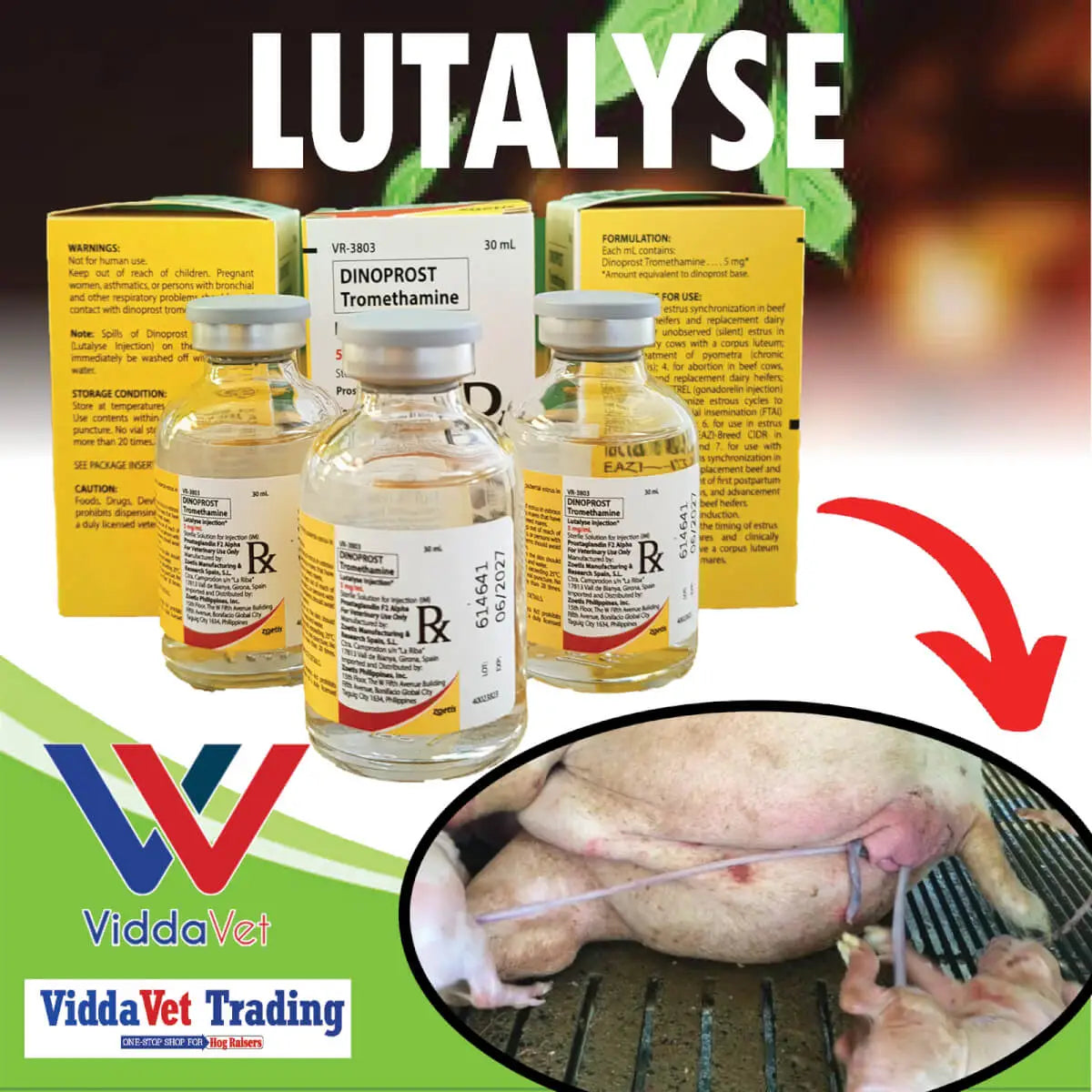 Lutalyse (Zoetis)