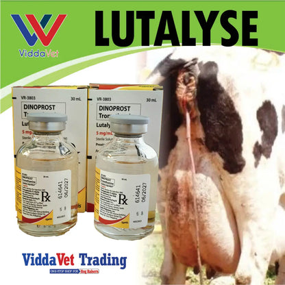 Lutalyse (Zoetis)
