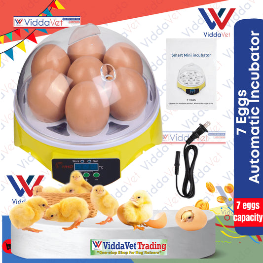7-Egg Incubator 360° View Poultry Incubator