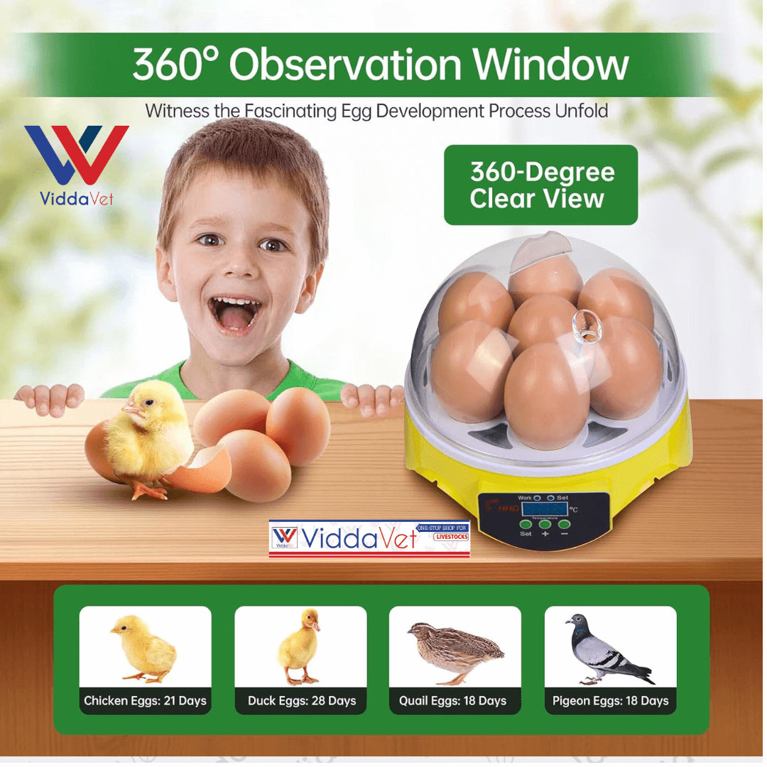 7-Egg Incubator 360° View Poultry Incubator