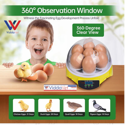 7-Egg Incubator 360° View Poultry Incubator