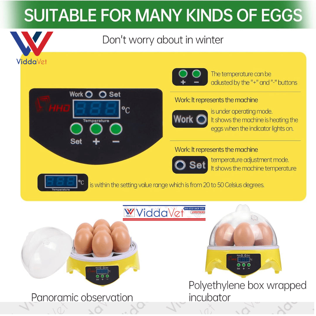 7-Egg Incubator 360° View Poultry Incubator