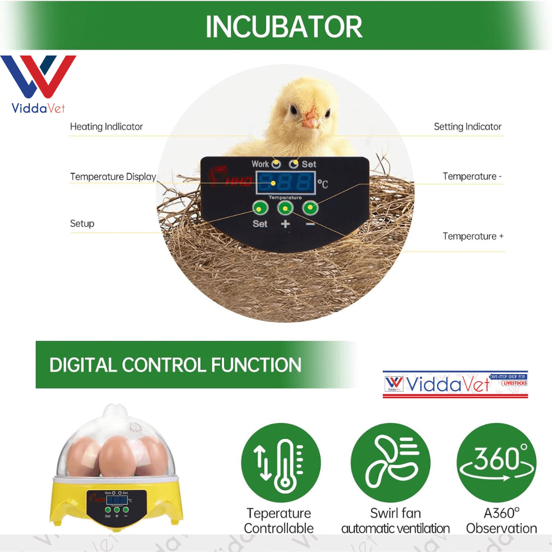 7-Egg Incubator 360° View Poultry Incubator