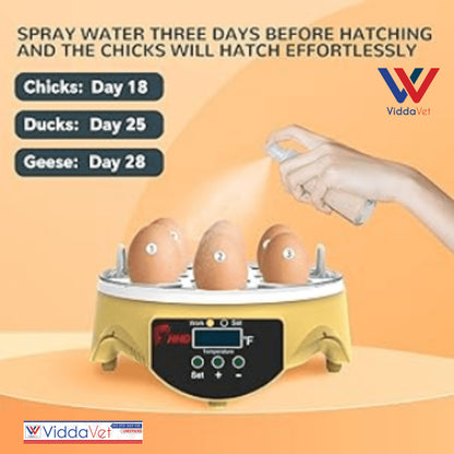 7-Egg Incubator 360° View Poultry Incubator