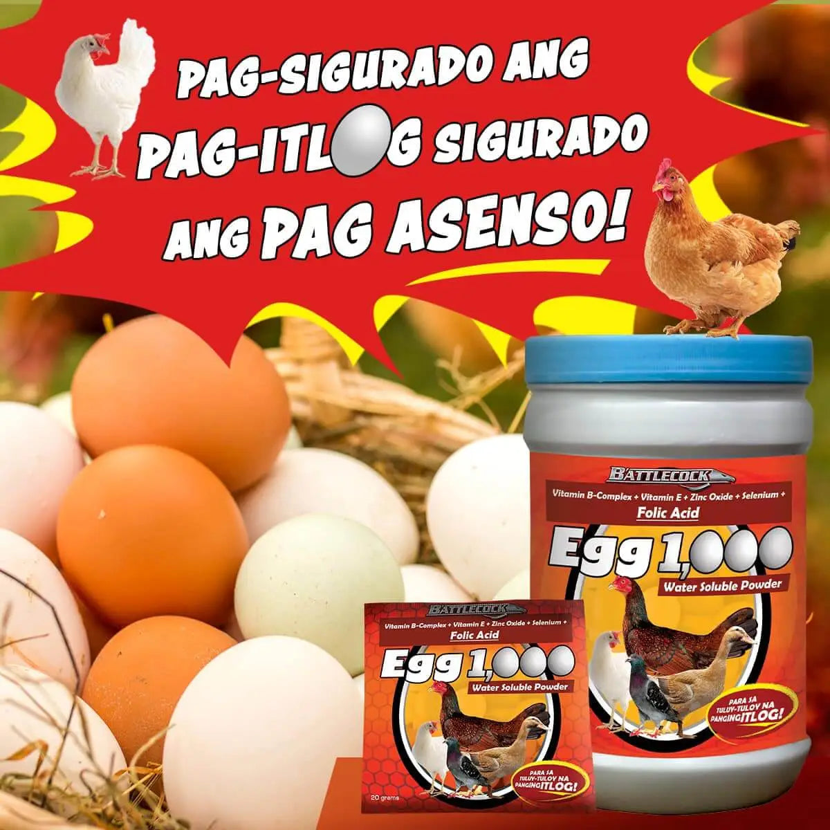 Egg 1000 1Kg