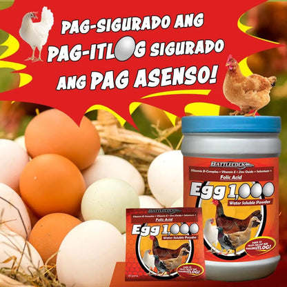 Egg 1000 1Kg