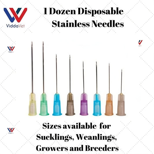 1 Dozen Disposable Needles